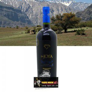 Vang Chile La Joya Single Vineyard Carmenere Bisquertt bn2