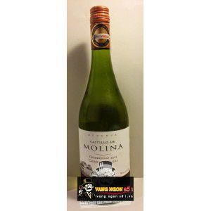 Vang Chile Castillo de Molina Reserva Chardonnay Chiết khấu cao bn1