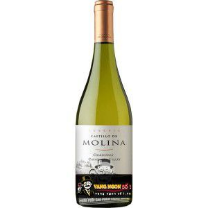 Vang Chile Castillo de Molina Reserva Chardonnay Chiết khấu cao