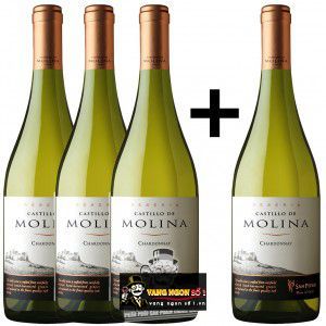 Vang Chile Castillo de Molina Reserva Chardonnay Chiết khấu cao bn2
