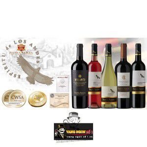 Vang Chile Santa Alicia Reserva Đỏ - Trắng Chiết khấu cao bn2