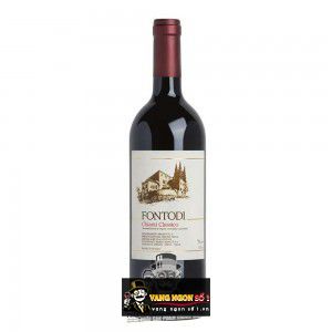 Vang Ý Fontodi Chianti Classico