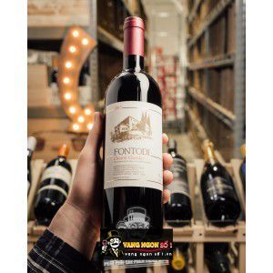 Vang Ý Fontodi Chianti Classico bn1