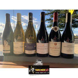Vang Pháp Faiveley Bourgogne Đỏ - Trắng bn1