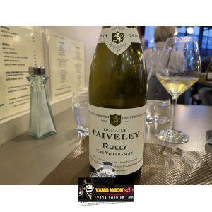 Vang Pháp Faiveley Bourgogne Đỏ - Trắng bn3