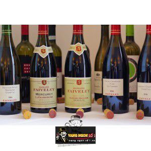 Vang Pháp Domaine Faiveley Pommard Les Vaumuriens bn3