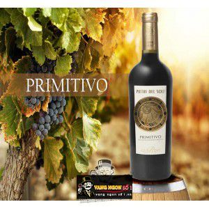 Vang Ý Pietre del Sole Primitivo bn1