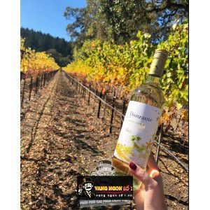 Vang Ý Danzante Pinot Grigio Veneto bn3