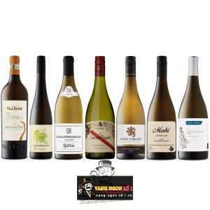 Rượu vang The Lucky Lizard Chardonnay Adelaide Hills bn3