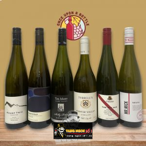 Rượu vang The Dry Dam Riesling DArenberg bn2