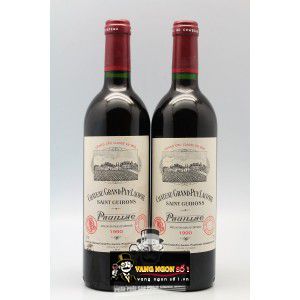 Vang Pháp Domaine de Saint Guirons Pauillac bn4