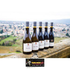 Vang Pháp Les Hauts du Fief Crozes Hermitage bn2