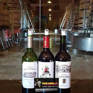 Vang Pháp Chateau Mauvesin Barton Moulis en Medoc bn3