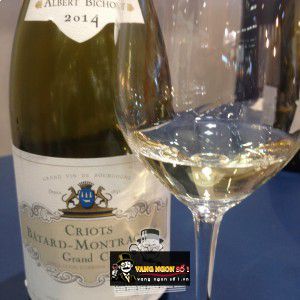 Vang Pháp Latricieres Chambertin Grand Cru Albert Bichot bn4
