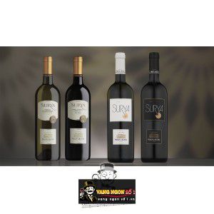 Vang Ý Surya Principi di Butera Sicily (Trắng - Đỏ) bn1