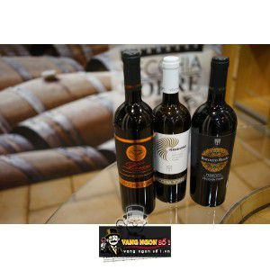 Vang Ý Leverano Riserva Vecchia Torre Puglia bn4