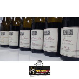 Vang Pháp Gevrey Chambertin Mark Haisma bn2