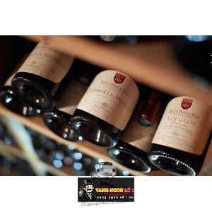 Vang Pháp Les Borniques Chambolle Musigny Roux Pere Fils bn3