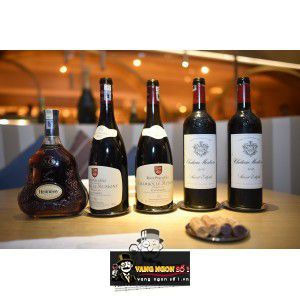 Vang Pháp Les Borniques Chambolle Musigny Roux Pere Fils bn4