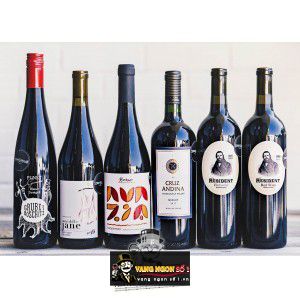 Vang Chile Cruz Andina Red Blend bn1