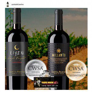 Vang Chile Santa Alicia LiYen Cabernet Sauvignon bn1