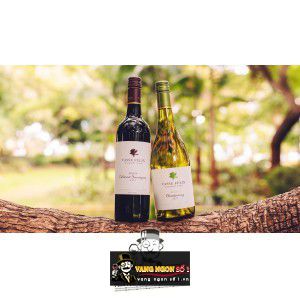 Rượu vang Vasse Felix Filius Cabernet Sauvignon Chính hãng bn3