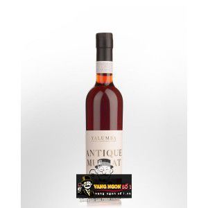 Rượu vang Yalumba Antique Muscat