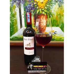 Vang Chile Paso Fino Central Valley Đỏ - Trắng bn1