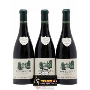 Vang Pháp Gevrey Chambertin Les Fontenys Labruyere Prieur Selection bn1