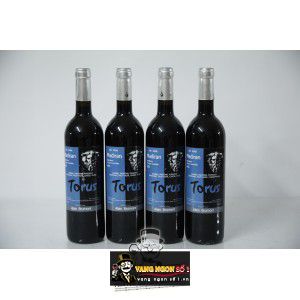 Vang Pháp Torus Alain Brumont Madiran bn2