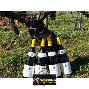 Vang Pháp Olivier Leflaive Meursault Blagny Sous le Dos dAne bn1