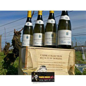 Vang Pháp Olivier Leflaive Meursault Blagny Sous le Dos dAne bn3
