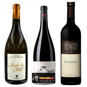 Vang Pháp Moulin des Dames Chateau Tour des Gendres bn2