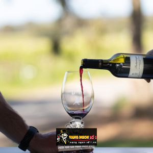 Rượu vang Pertaringa Understudy Cabernet Sauvignon thượng hạng bn3