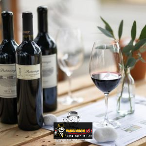 Rượu vang Pertaringa Understudy Cabernet Sauvignon thượng hạng bn4