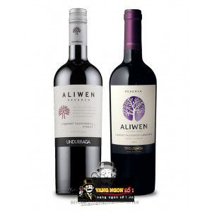 Vang Chile Undurraga Aliwen Reserva Cabernet Sauvignon - Syrah bn1