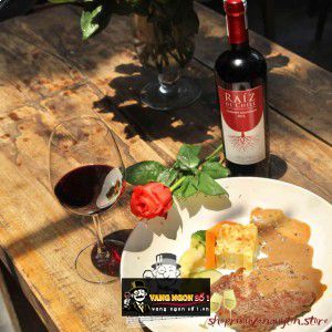 Vang Chile Raiz De Chile Cabernet Sauvignon bn1