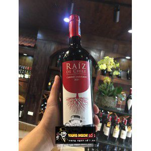 Vang Chile Raiz De Chile Cabernet Sauvignon