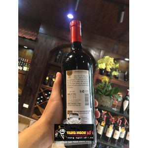 Vang Chile Raiz De Chile Cabernet Sauvignon bn2