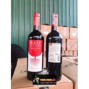 Vang Chile Raiz De Chile Cabernet Sauvignon bn3