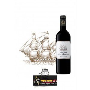 Vang Pháp Amiral De Beychevelle Saint Julien bn1