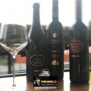 Vang Ý Valpolicella Ripasso Superiore Zonin Veneto bn1