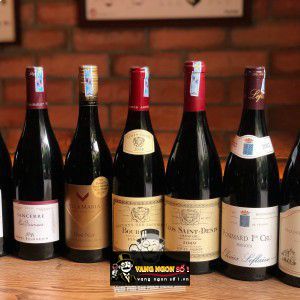 Vang Pháp Couvent des Jacobins Bourgogne Pinot Noir bn2