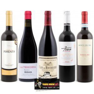 Vang Pháp Clos de Rochegres Moulin A Vent Chateau des Jacques bn3