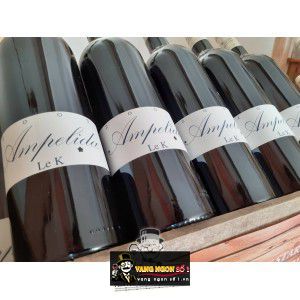 Vang Pháp Ampelidae Le K bn4