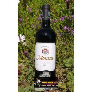 Vang Pháp Chateau Montus Alain Brumont Mardiran bn3