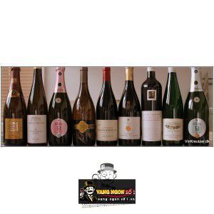 Vang Pháp Chateau de Cayx Cuvee Majeste bn1