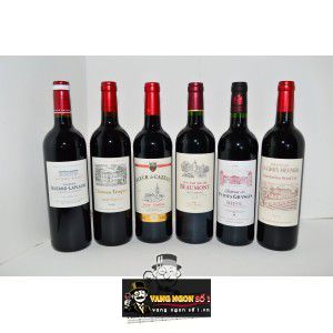 Vang Pháp Chateau Laplagne Puisseguin St Emilion bn2