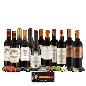 Vang Pháp Chateau Pavillon de Villenouvette Corbieres bn1