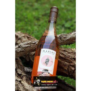 Vang Pháp Marius Michel Chapoutier Languedoc bn1